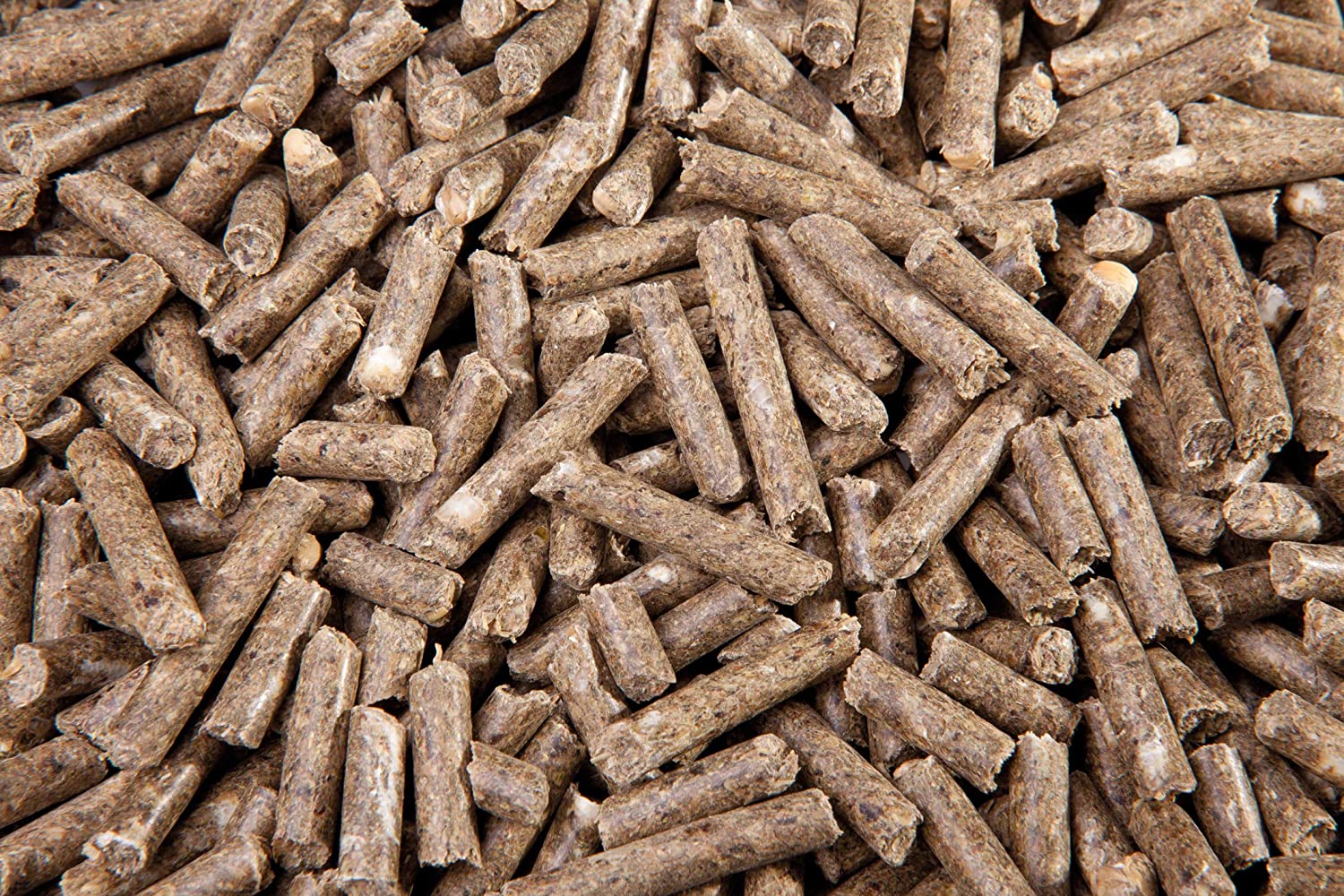  Eggersmann Mein Pferdefutter naturbelassenes, asidero Forro, Caballo con Nadie o Poco Potencia, Eggers Muñeco Horse y Pony Completo Grano pellets 10 mm para Caballos, 1 Unidades (1 x 25 kg)… 
