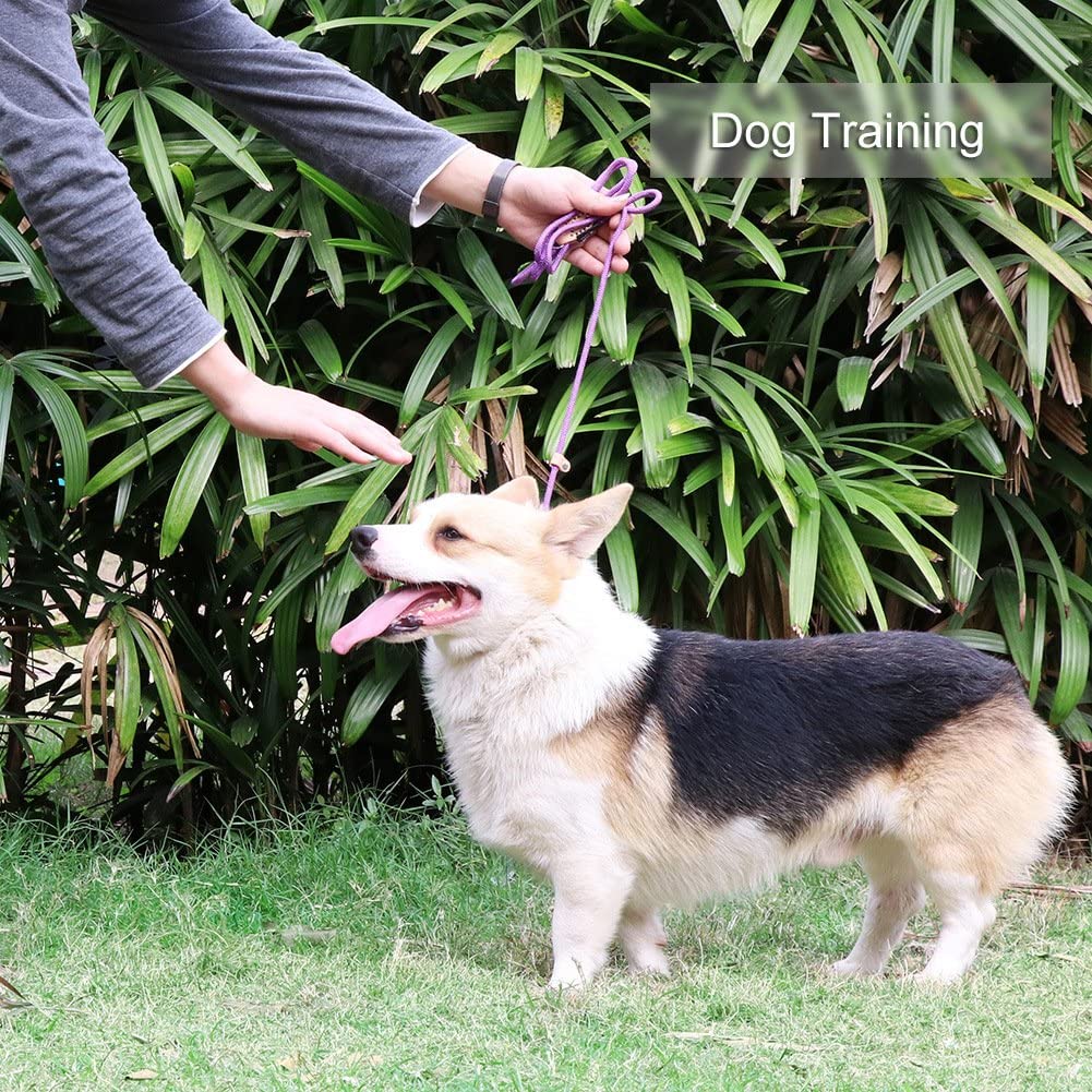  Grand Line Correa Ajustable Cuerda de Nylon para Perros y Gatos Pequeños, Medianos, Grandes y Extra Pesados Ideal para Entrenamiento Corriendo- 150cm, Naranja 