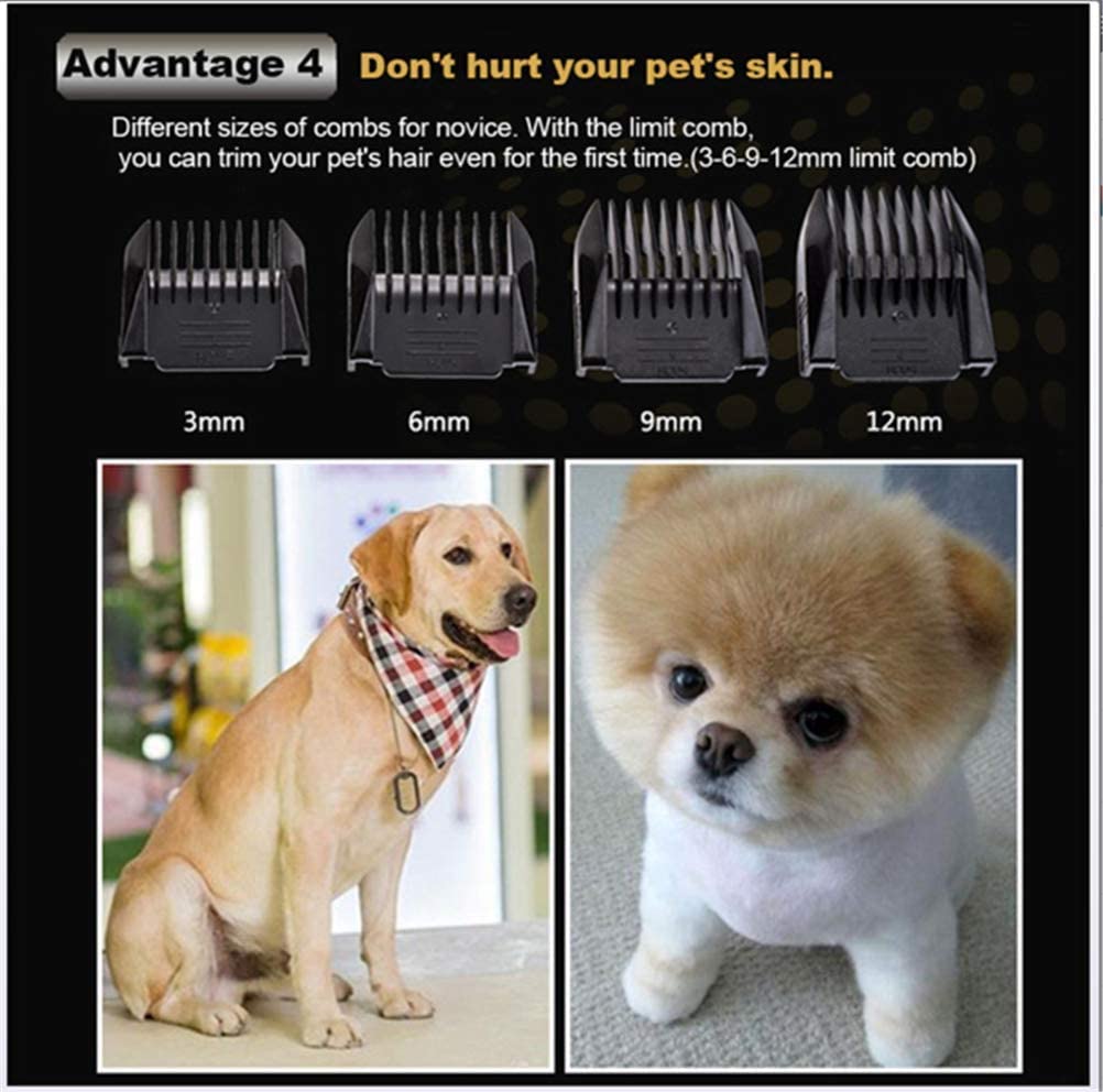  Jingya Cortapelos para Mascotas Recortador de Pelo Kit de Aseo para Perros Cortadora eléctrica Recargable sin Cable Afeitadora Piel para Mascotas Accesorios para uñas con Cabezal de Corte de Repuesto 