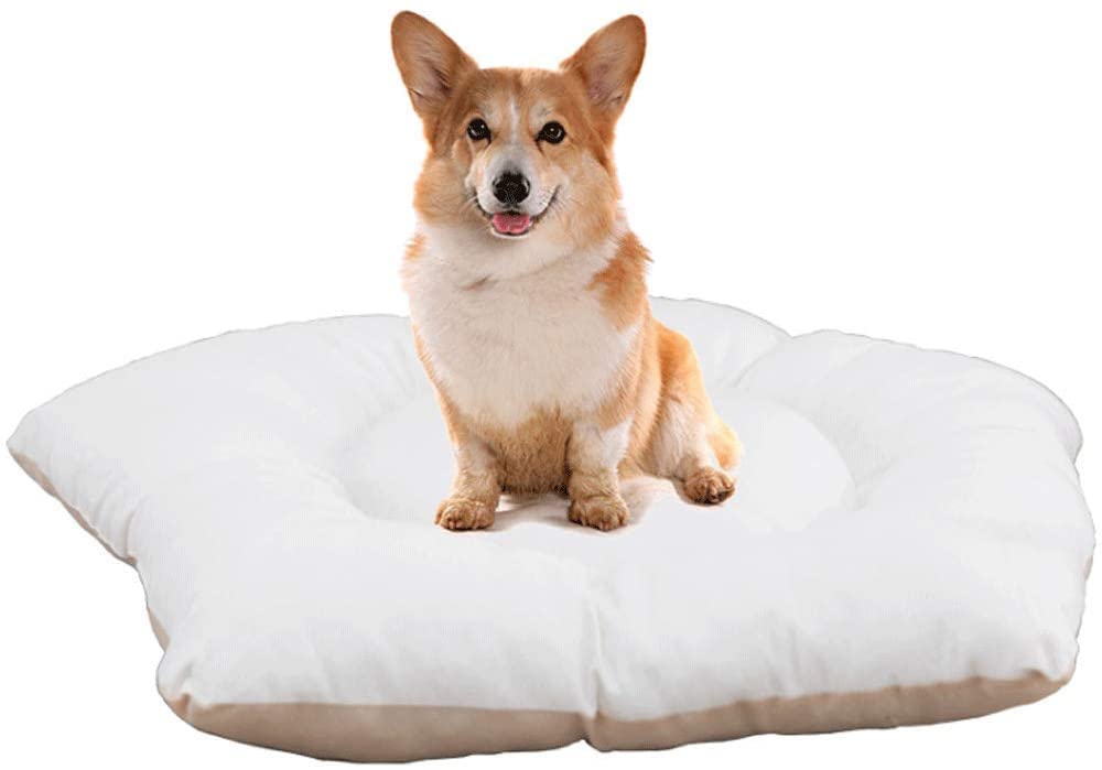  JYLJL Pentágono PP Algodón Mascota Dormir Estera Gato Teddy Pequeño Y Mediano Perros Y Gatos Esteras (Color : A5, Size : Large (50X50CM)) 