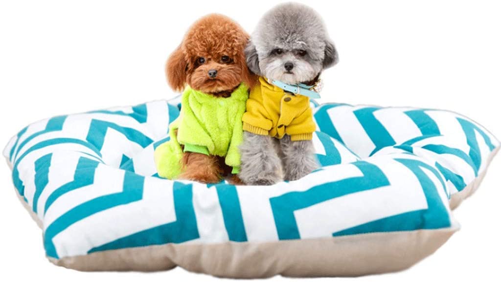  JYLJL Pentágono PP Algodón Mascota Dormir Estera Gato Teddy Pequeño Y Mediano Perros Y Gatos Esteras (Color : A5, Size : Large (50X50CM)) 