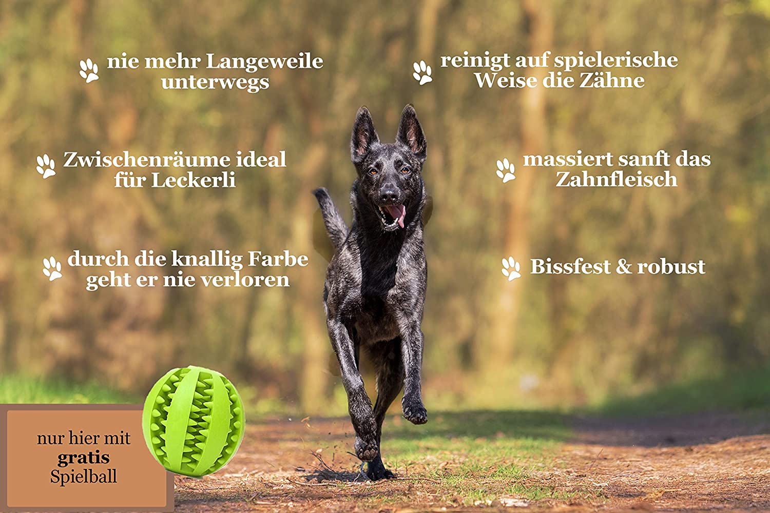  Kos mos Martin Rütter – Pelota para el Cuidado Dental, para Perros, Incluye Bolsa de Deporte para Perros 