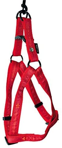  Martin Sellier Pets Co - Arnés para Perro (10-25/35 cm), Color Rojo 