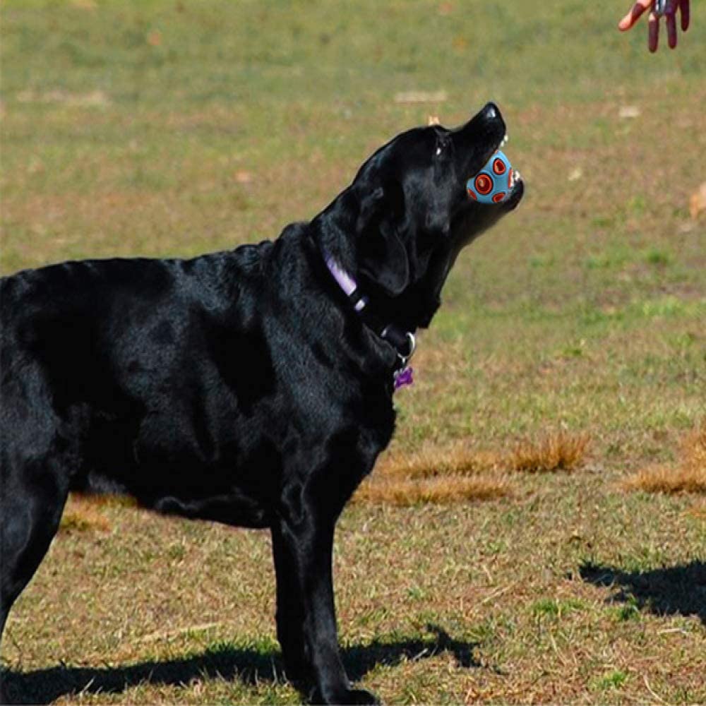  MYYXGS Juguetes para Mascotas Burlas Nocturnas Resistentes A Las Mordidas Vocales Juguetes para Perros Brillantes Perros Medianos Y Grandes Golden Retriever Suministros para Mascotas 