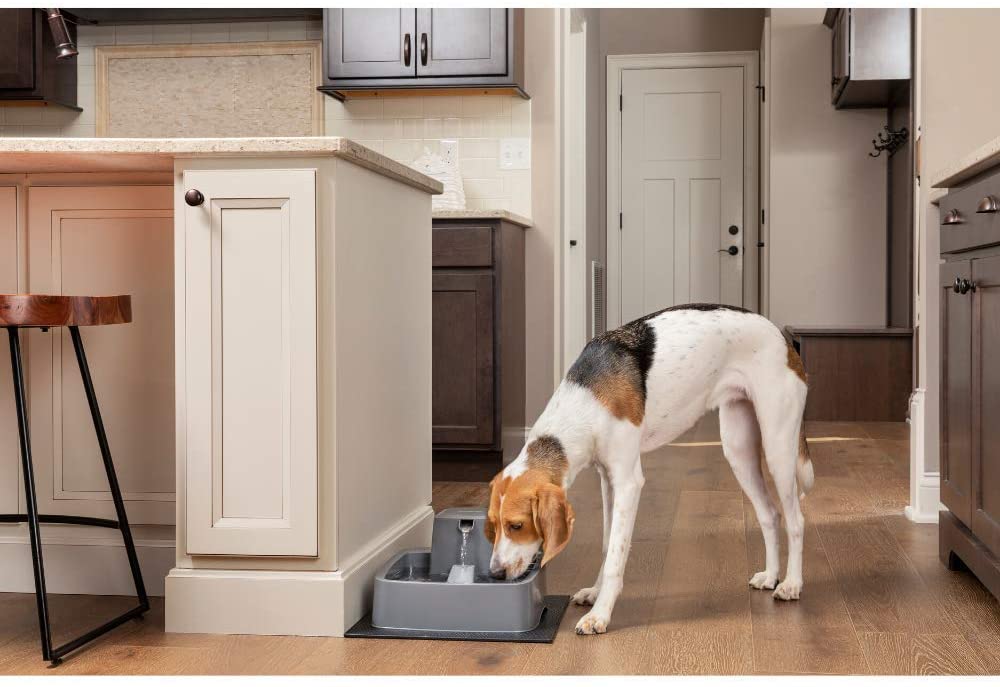  PetSafe PWW19-16778 Drinkwell 3, Fuente de 7 litros, Ideal para hogares con Perros de tamaño Medio, diseño fácil de Limpiar, Incluye Filtro 