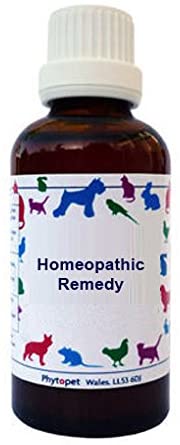  PHYTOPET Hypericum (St John's Wort) 6c 