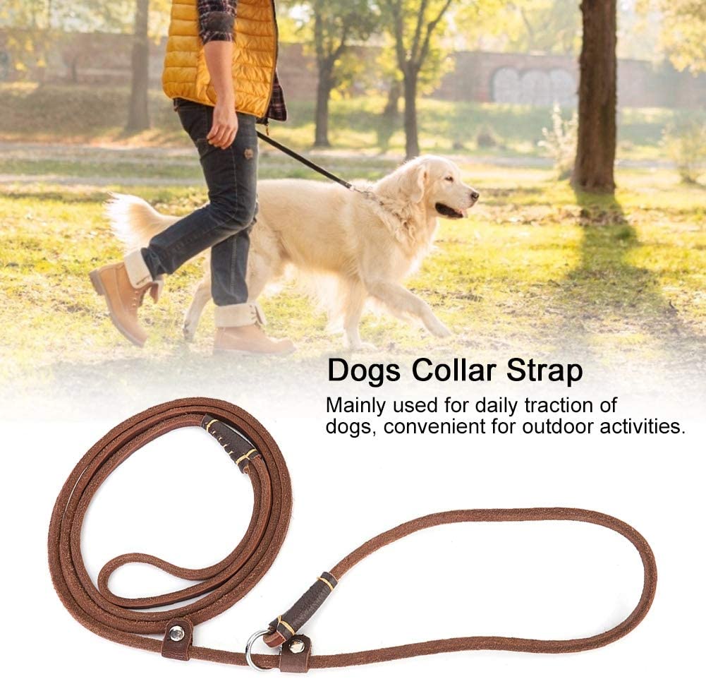  Pssopp Correa para Perros, Cuerda de tracción para Mascotas Correa de Plomo Correa para Tirar del Perro Correa de Cuero Artificial Collar de Correa de Plomo para Perros Entrenamiento Caminar 