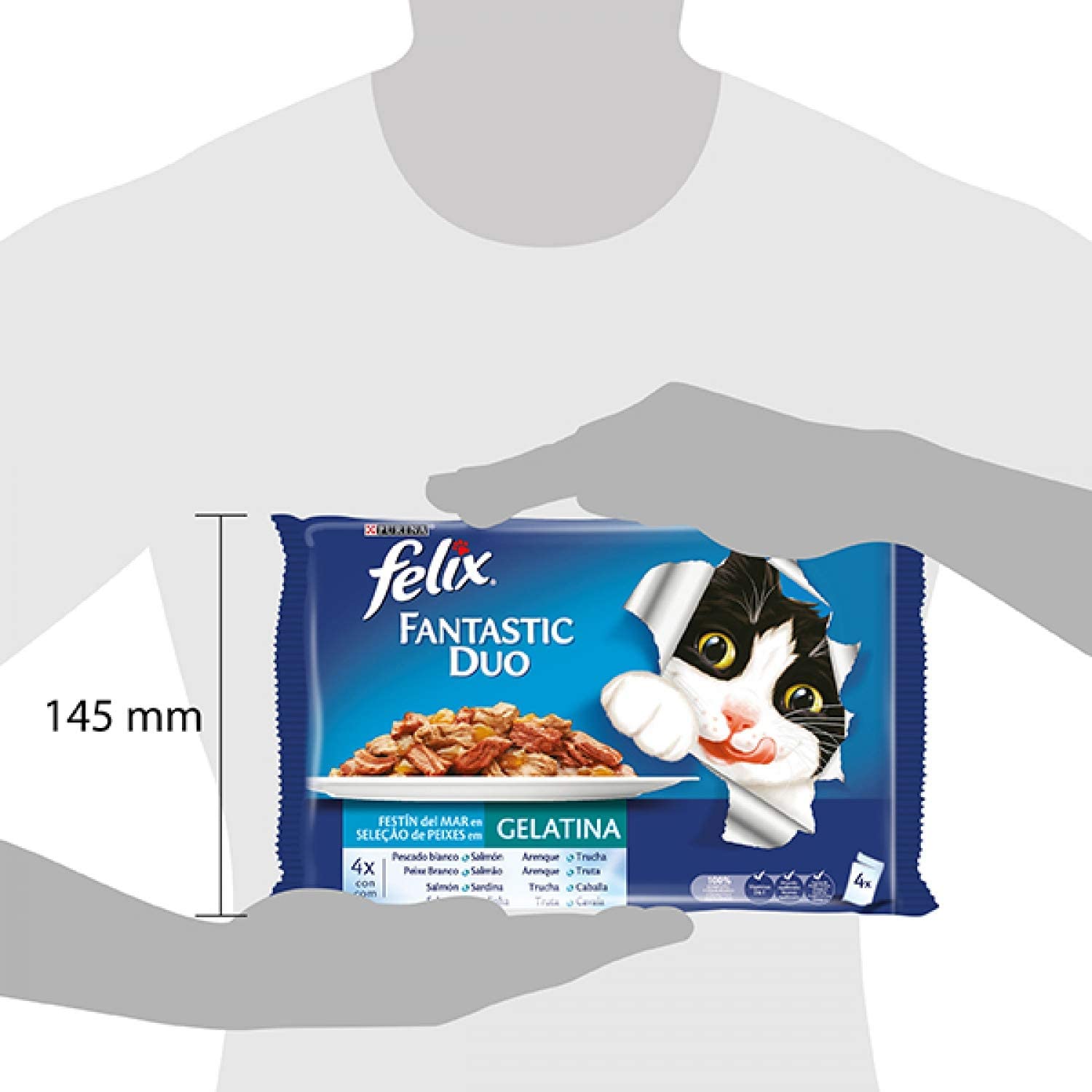  PURINA Felix Fantastic Duo Delice - Comida para Gatos en Sobres, Variedad de Pescados, 10 x (4 x 100 g) 