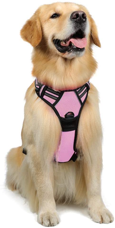  rabbitgoo Arnés Perro Rosado Grande Chalecos Ajustables Arnés Antitirones Perro Correas reflectores Mejor Seguridad Hebillas Resistentes Color Rosa Tamaño L Grande 