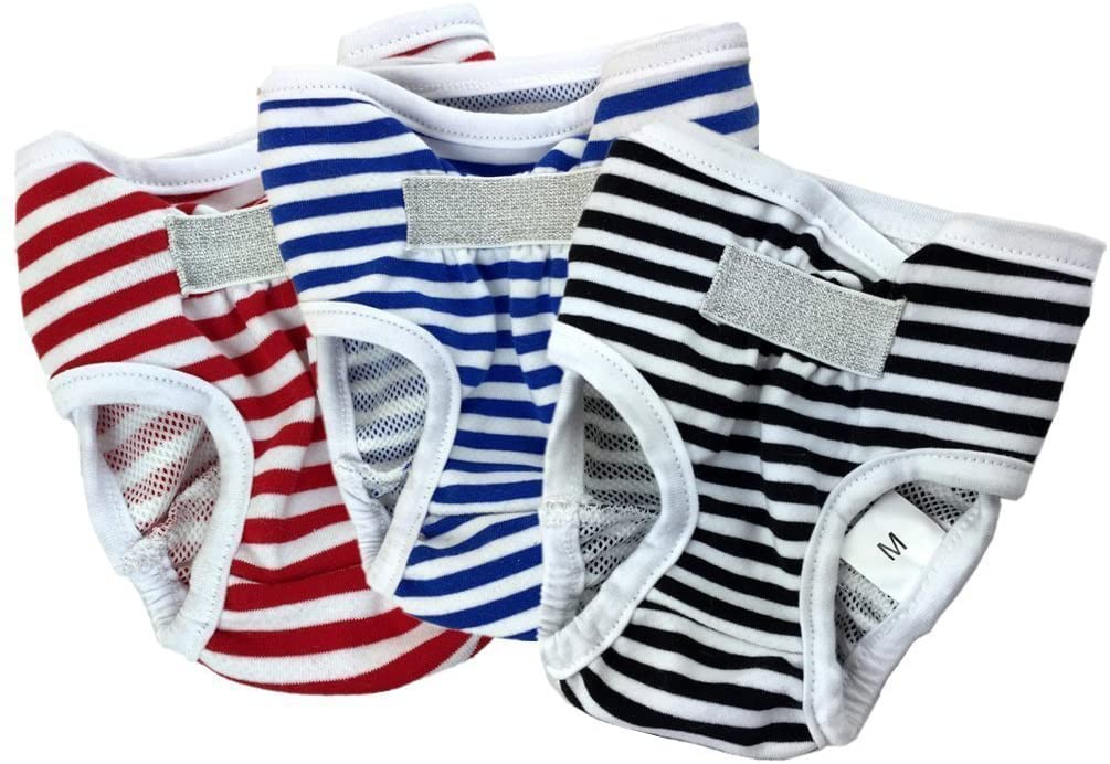  S de Compra 3 Pack lavable – Pantalón Higiene Calzoncillos de Algodón para hündin 