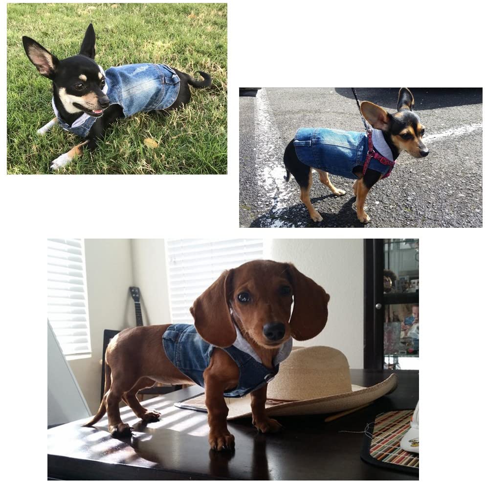  SILD - Chaqueta Vaquera con Capucha para Perros medianos y pequeños, diseño Vintage Desgastado, Color Azul (M) 