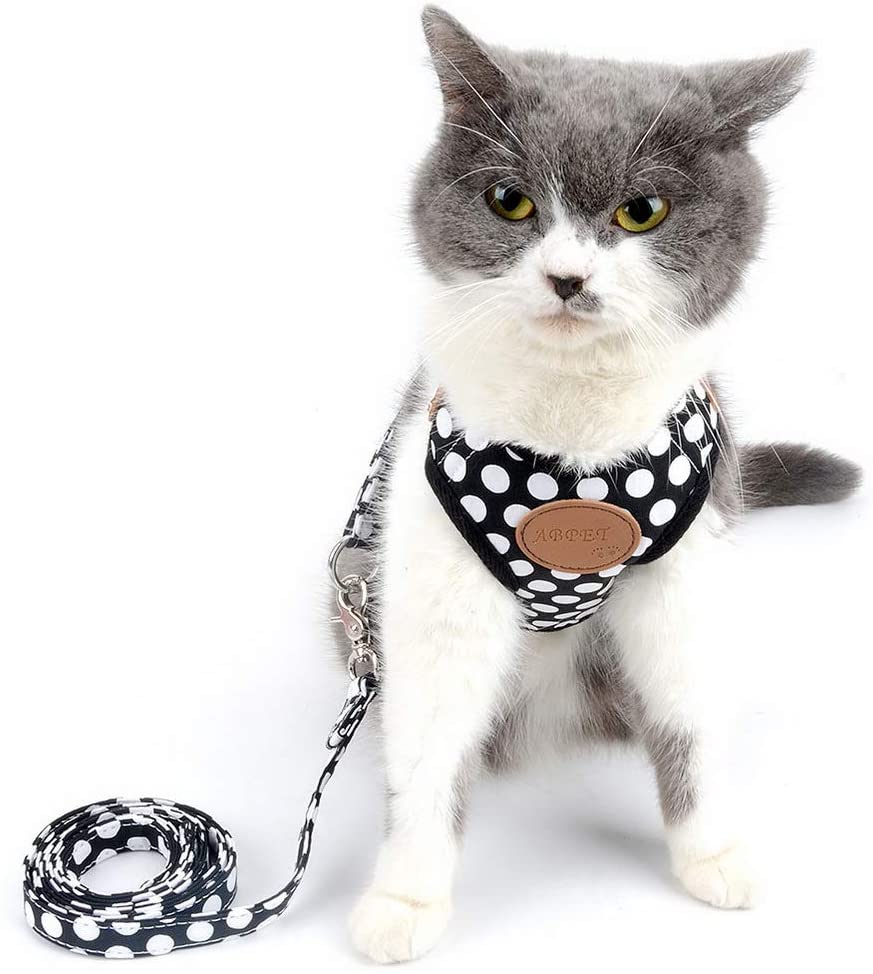  smalllee_lucky_store Chaleco Perro o Gato, Suave, Malla de Nailon, con Correa y arnés, Color Negro, Talla S 