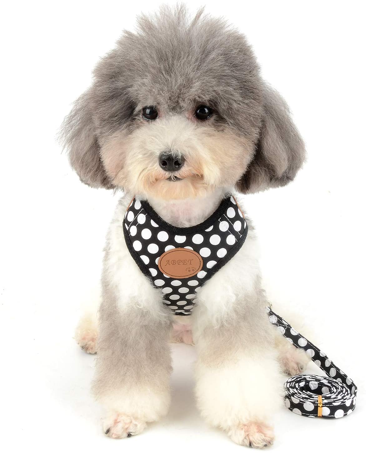  smalllee_lucky_store Chaleco Perro o Gato, Suave, Malla de Nailon, con Correa y arnés, Color Negro, Talla S 