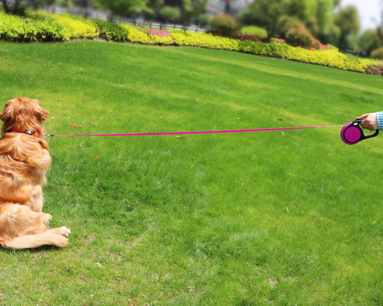  Taglory Correa Extensible Perro medianos y pequeño, Cuerda para Perros retractil, Nylon Fuerte Adecuado para Perros de hasta 20 kg, sin enredo y manija Antideslizante,Rosa 