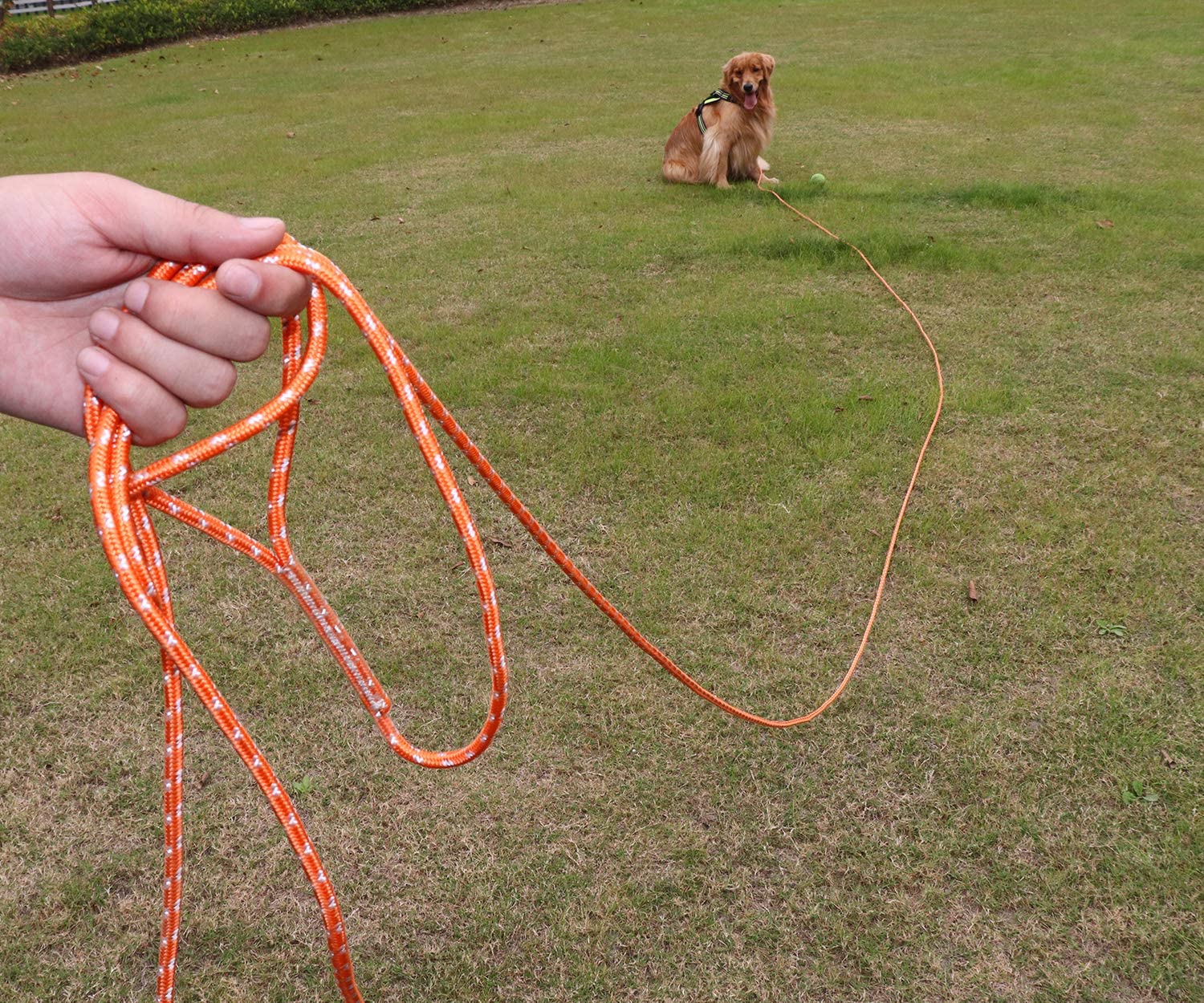  TagME 15M Reflexivo Correa Perro Adiestramiento,Correa Larga para Entrenamiento y Juego de Perros Pequeños,Naranja 