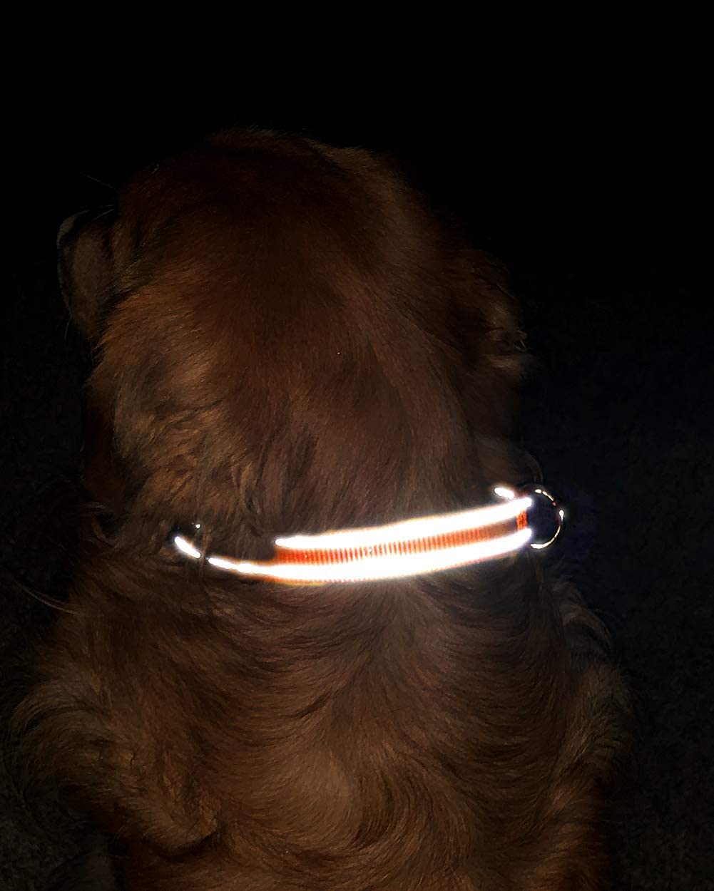  TagME Collar de Perro Reflectante Personalizado,Placa de Acero Inoxidable,Grabado con Nombre y Número de Teléfono,Deslizar en Las Etiquetas de Identificación del Perro,Naranja 