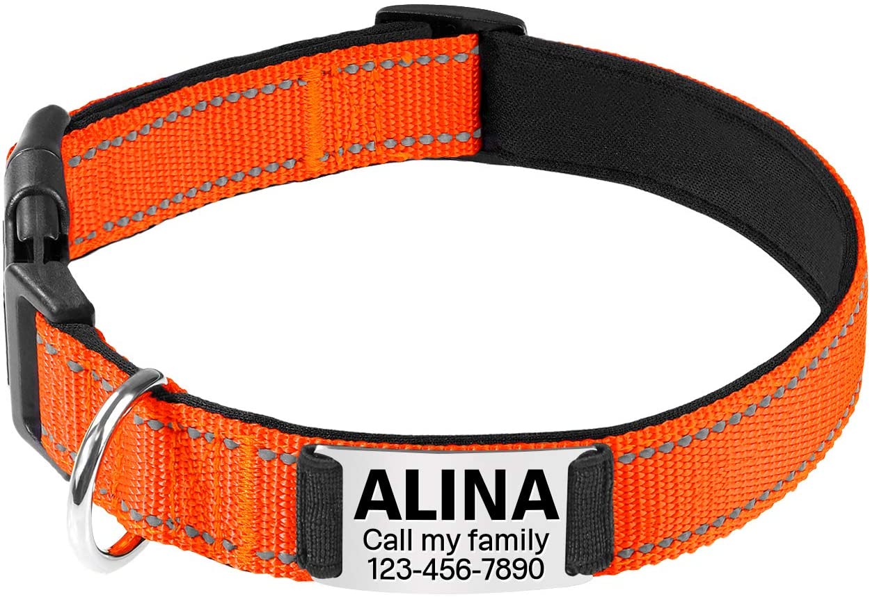  TagME Collar de Perro Reflectante Personalizado,Placa de Acero Inoxidable,Grabado con Nombre y Número de Teléfono,Deslizar en Las Etiquetas de Identificación del Perro,Naranja 
