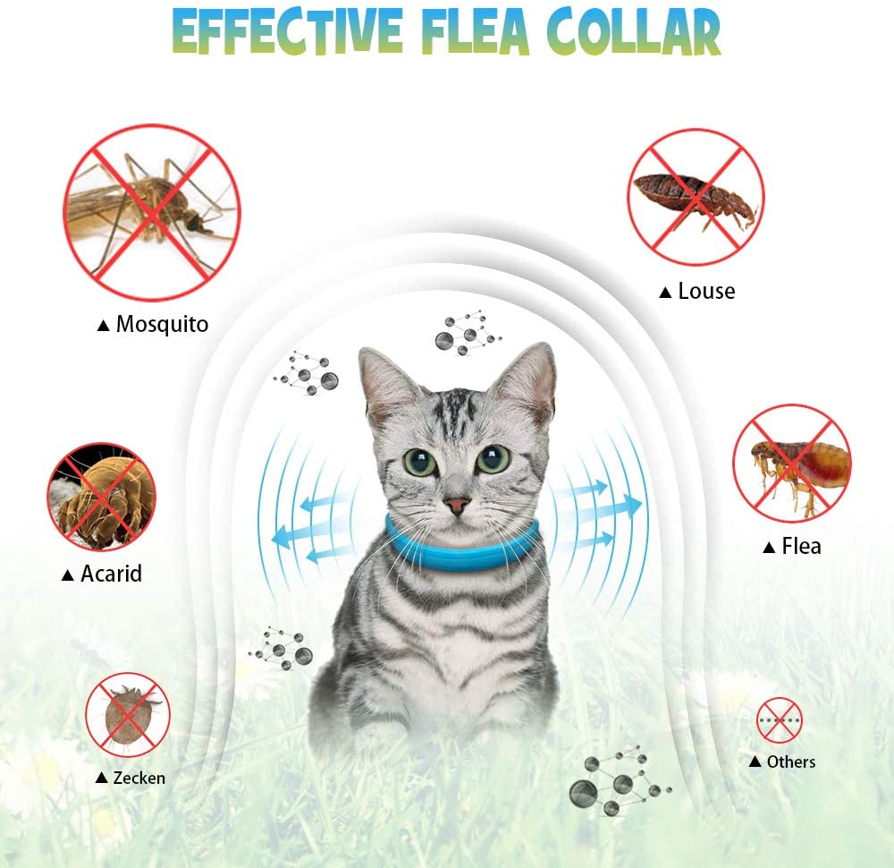  WOLFWILL Collar de Pulgas y Garrapatas para Gato,Acción Prolongada 10 Meses de Protección y Prevención contra Pulgas Garrapatas,Piojos,Talla Única para Todos,Ajustable, Impermeable 