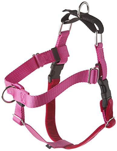 2 Hounds Design Arnés de 2 arnés con diseño de Libertad sin tirones, 2,54 cm, tamaño Mediano, Color Frambuesa