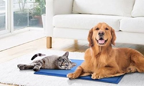 40 x 50 cm alfombrilla de refrigeración Temperatura verano cama calor Pad enfría cuerpo de mascota Perro Gato