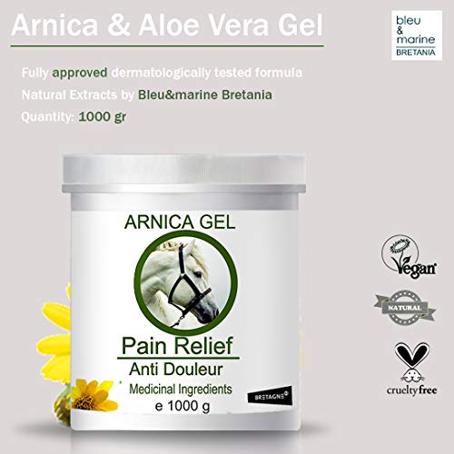 90% Gel de Árnica Montana y Aloe Vera Caballos 1000g Acción Rápida Remedio herbal 100% Natural