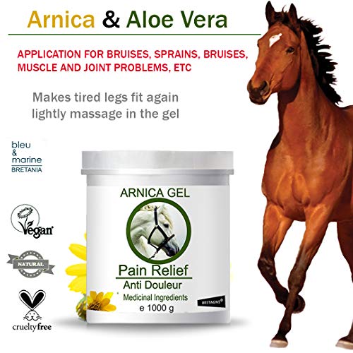 90% Gel de Árnica Montana y Aloe Vera Caballos 1000g Acción Rápida Remedio herbal 100% Natural
