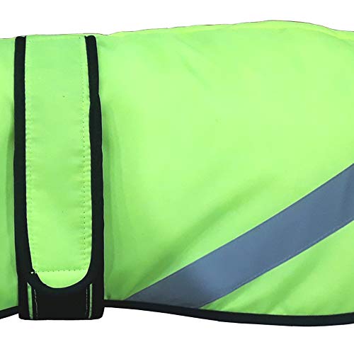 AMATHINGS Hi Viz - Abrigo térmico para Perros, Color Amarillo neón y Verde, Talla Mediana, con Forro Polar, Cuello y Agujero para la Correa
