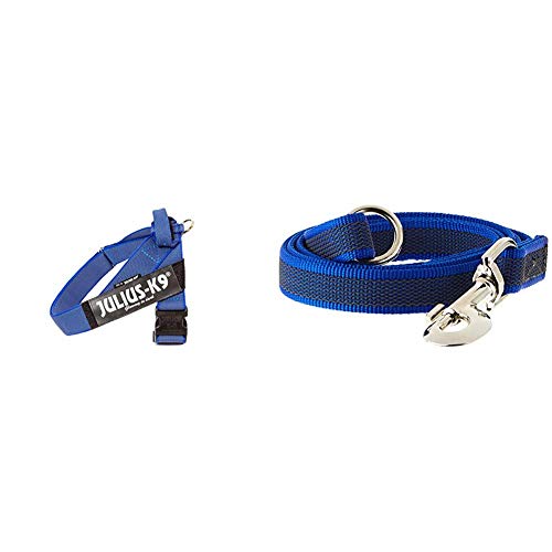 Arnés para cinturón de seguridad JULIUS-K9 y Correa para Perro, con Mango y Junta Tórica - color azul - talla: 2