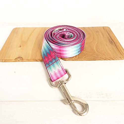 BORNET Arnés Y Correa para Gatos Rainbow Color Pet - Estilo De Funda Suave Ajustable - Lo Mejor para Pasear con Perros Collar De Perro De Arnés para Perros Correa para Mascotas,S