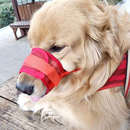 Bozales para perros Bozal de malla para perro con correa superior para perros pequeños, medianos y grandes, evita morder, ladrar y masticar de color rojo, (Hebra media circunferencia: 12-15 cm)