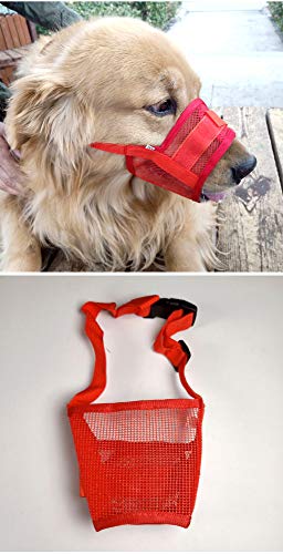Bozales para perros Bozal de malla para perro con correa superior para perros pequeños, medianos y grandes, evita morder, ladrar y masticar de color rojo, (Hebra media circunferencia: 12-15 cm)
