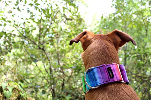 candyPet Collar Martingale Para Perros - Modelo Arcoiris, S