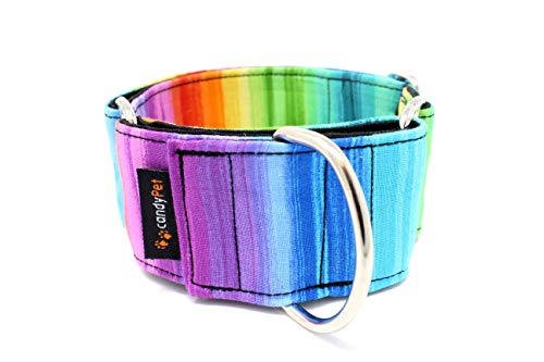 candyPet Collar Martingale Para Perros - Modelo Arcoiris, S