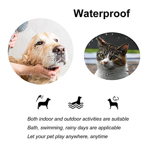 Collar calmante para perros y gatos,Collar ajustable contra la ansiedad,Alivio de la ansiedad de efecto calmante duradero a prueba de agua natural y seguro,1 paquete(Grande)