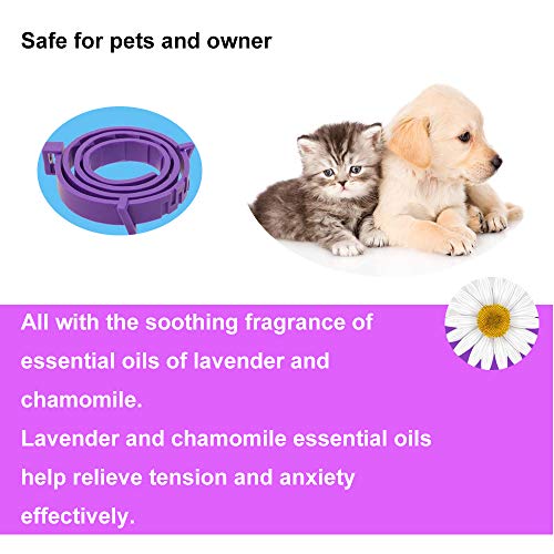 Collar calmante para perros y gatos,Collar ajustable contra la ansiedad,Alivio de la ansiedad de efecto calmante duradero a prueba de agua natural y seguro,1 paquete(Grande)