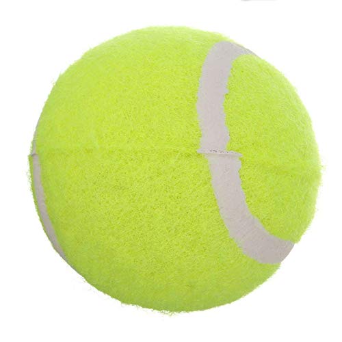 Edhua Lanzador automático de Pelotas para Perros, Juguete Interactivo para Lanzador de Pelotas de Tenis para Perros