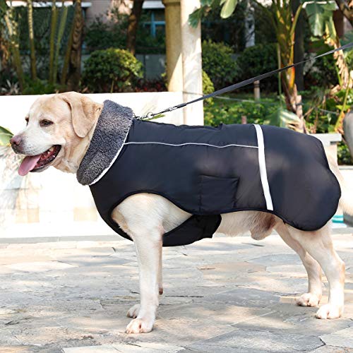 Eleoption - Impermeable caliente para invierno para perros, chaqueta chubasquero para exteriores, impermeable, reflectante, abrigo para perros pequeños, medianos y grandes. - UYYI7U7776, XXXL, Negro
