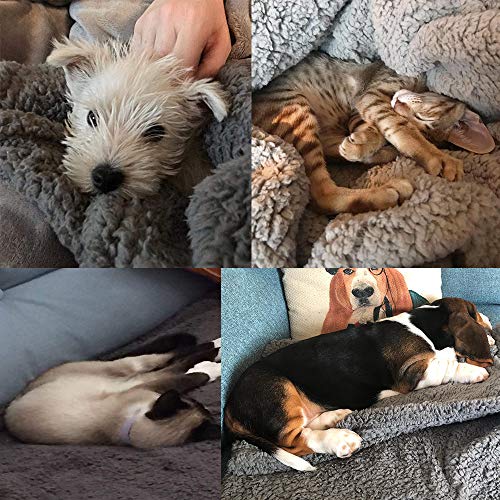 Fesjoy Manta para Mascotas,Manta para Perros Premium y esponjosa,Alfombra de Lana,Suministros para Mascotas cálidos y Suaves para Perros pequeños y Grandes,Gatos Duermen