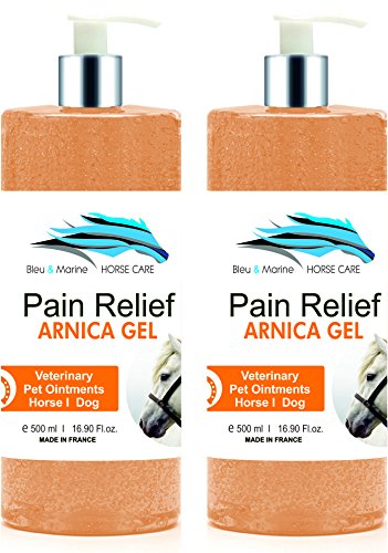 Gel de Árnica Montana 90% Caballos 1000g Acción Rápida Remedio herbal 100% Natural