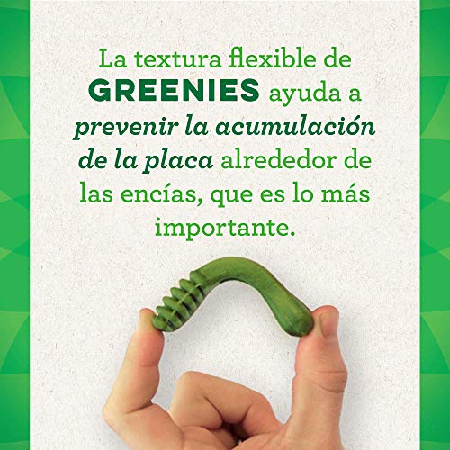 Greenies Snack dental Greenies grain free regular  para perros de 11 kg a 22 kg, bolsa de 170 g (Pack de 6)