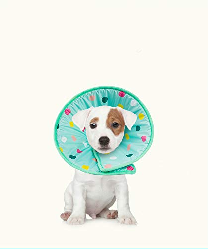 Gulunmun Collares y Conos recuperación caninos Cartoon Pet Dog Cat Collar Cono Recuperación Protector curativo Neck Neck Ring Anti-mordida con Cinta mágica, Cuello (20-26cm)