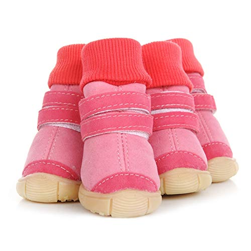 HCBDQQ Botas para Perros Zapatos para Perros Zapatos Antideslizantes Al Aire Libre para Caminar Al Aire Libre Actividad Adecuada para Perros PequeñOs Y Medianos L