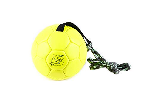 Julius-K9 KORA1 Show Training Ball 170 mm, Un tamaño