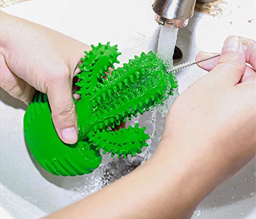 JYZT Cepillo De Dientes para Perros con Forma De Cactus Fragancia De Leche bastón Molar para Mascotas Hueso De Juguete Cuidado Bucal Juguete Vocal Verde 16 × 10 × 3.5cm