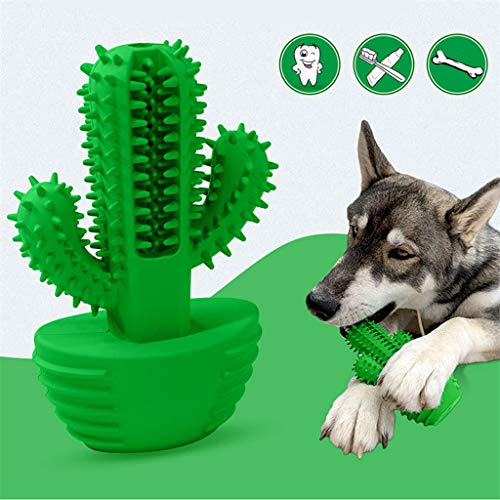 JYZT Cepillo De Dientes para Perros con Forma De Cactus Fragancia De Leche bastón Molar para Mascotas Hueso De Juguete Cuidado Bucal Juguete Vocal Verde 16 × 10 × 3.5cm