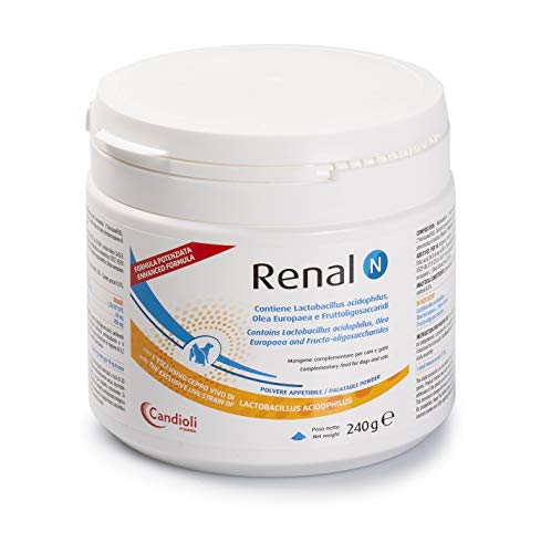 N renal piensos complementarios para perros y gatos Alimentos Suplemento 240g Uso Veterinario