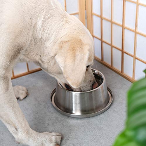 Navaris Comedero Enfriador de Acero Inoxidable - Cuenco Antideslizante para Perros y Gatos - Mantén el Agua o la Comida Frescos en Verano - 850ml