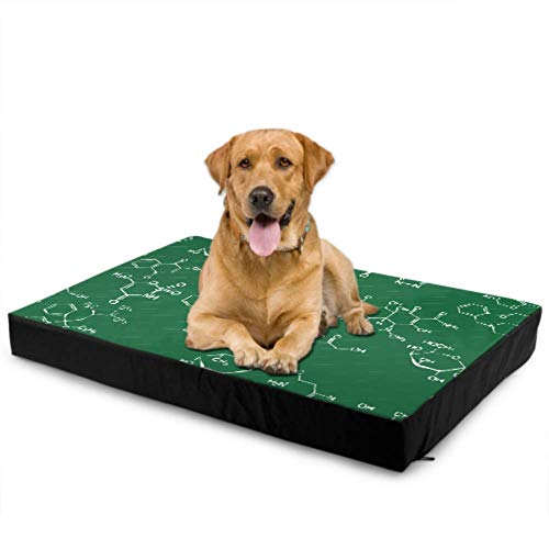 Personalized Dog Bed Chemistry Science Formula Big Dog Mat Medium Size Dog Bed Waterproof 76 X 51 X8cm with Zipper Removable Cover For Dogs & Cats