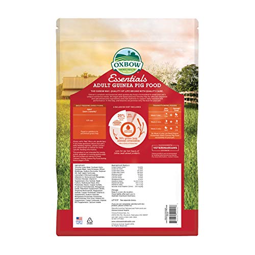 Petlife Oxbow Cavy Cocina Completa alimentación para Adultos Guinea Pig, 4,5 kg