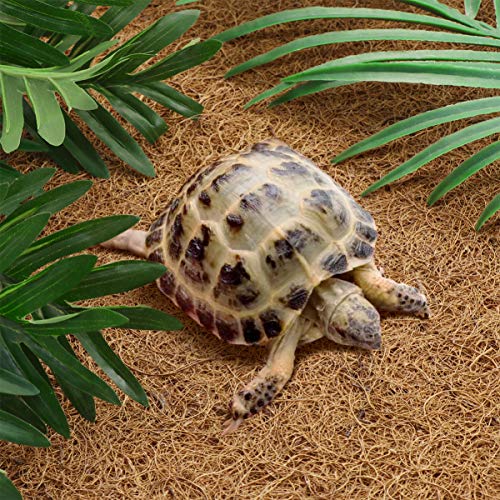 POPETPOP Alfombra de Reptil Fibra de Coco Reptiles Ropa de Cama Alfombra de Escalada para Lagarto Camaleón Serpiente Tortuga Dragón Barbudo Iguana Cama - 60x40cm